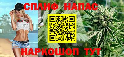 ешки Дубна
