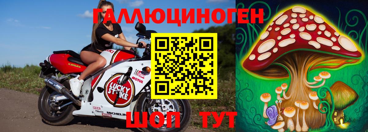 Псилоцибиновые грибы прущие грибы Кушва